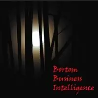 Bortom business intelligence